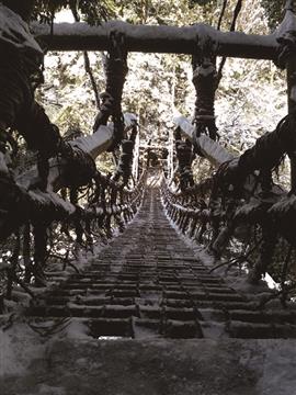 冬の大歩危峡　写真提供：三好市観光協会